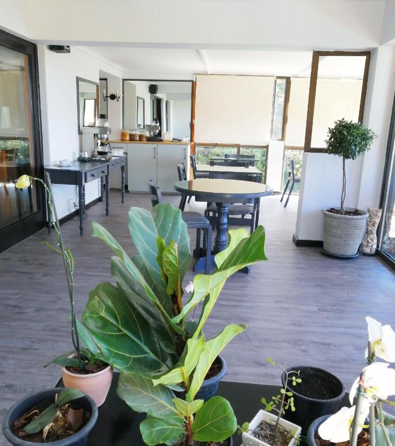 Swallows Nest Plett Plettenberg Bay Exterior foto